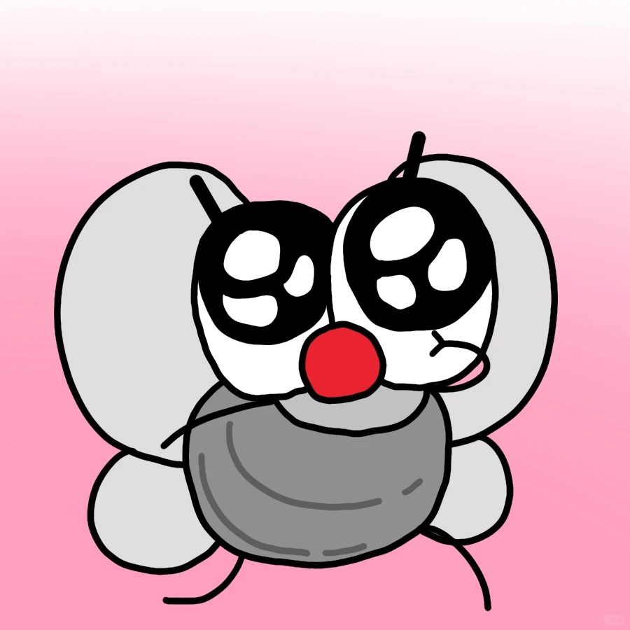 🔥你的蝇蝇来辣！！！