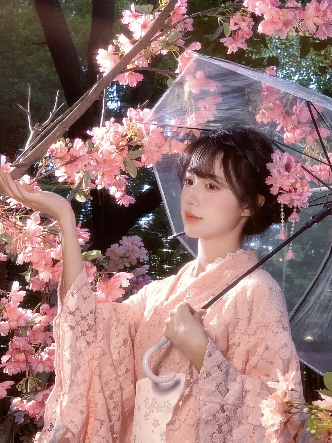 不用去大理！成都也能拍樱花🌸写真