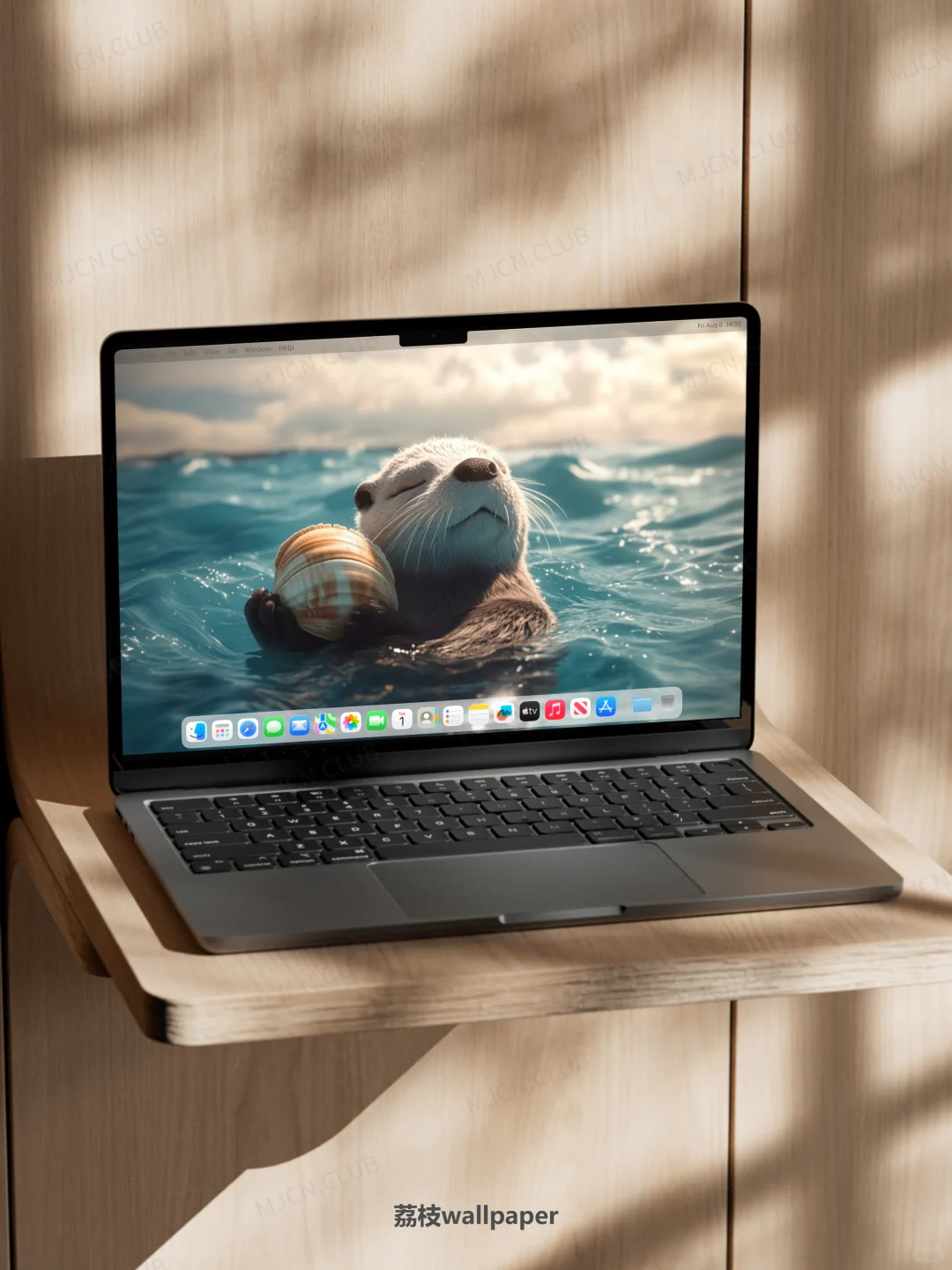 041｜简约高清壁纸｜贝壳海獭