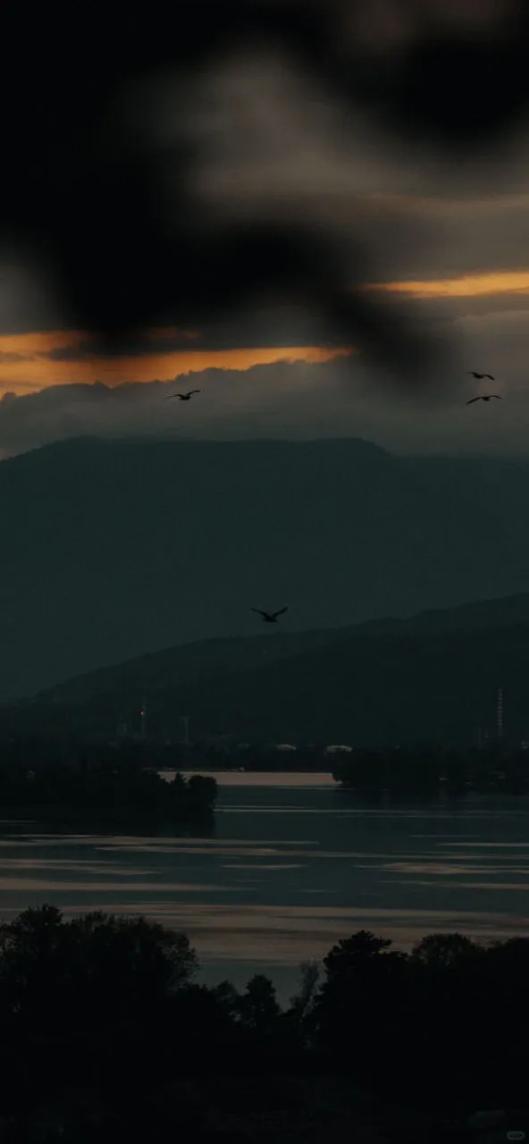 𝐒𝐡𝐚𝐫𝐞｜iPhone壁纸258期