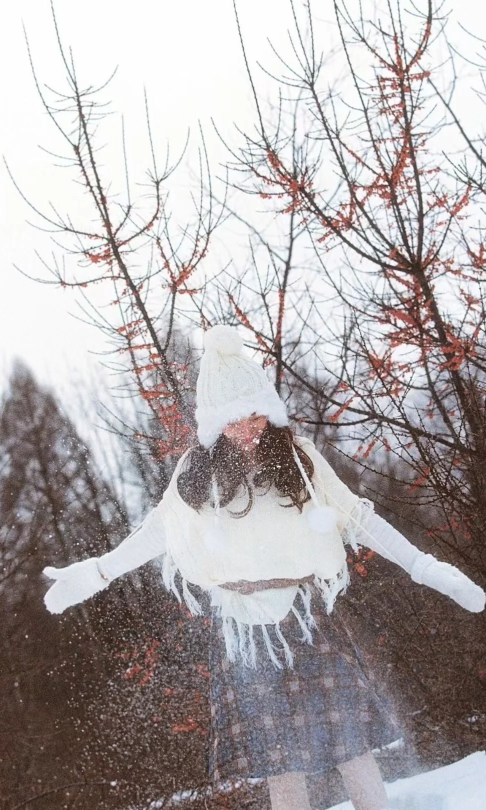 全屏观看我的冬日胶片写真集