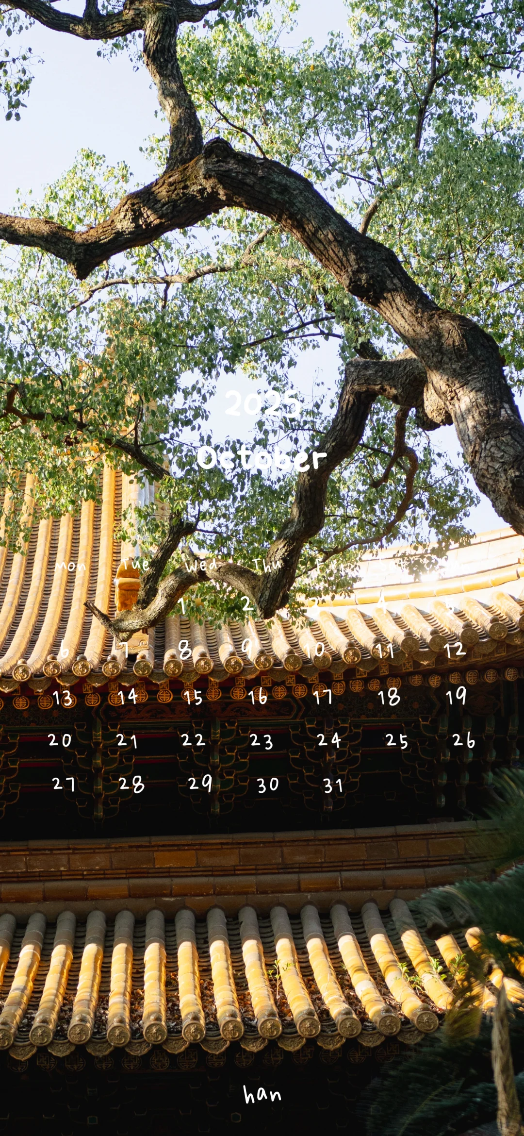 📆日历壁纸𝐒𝐡𝐚𝐫𝐞 ◡̈°｜秋天的阳光