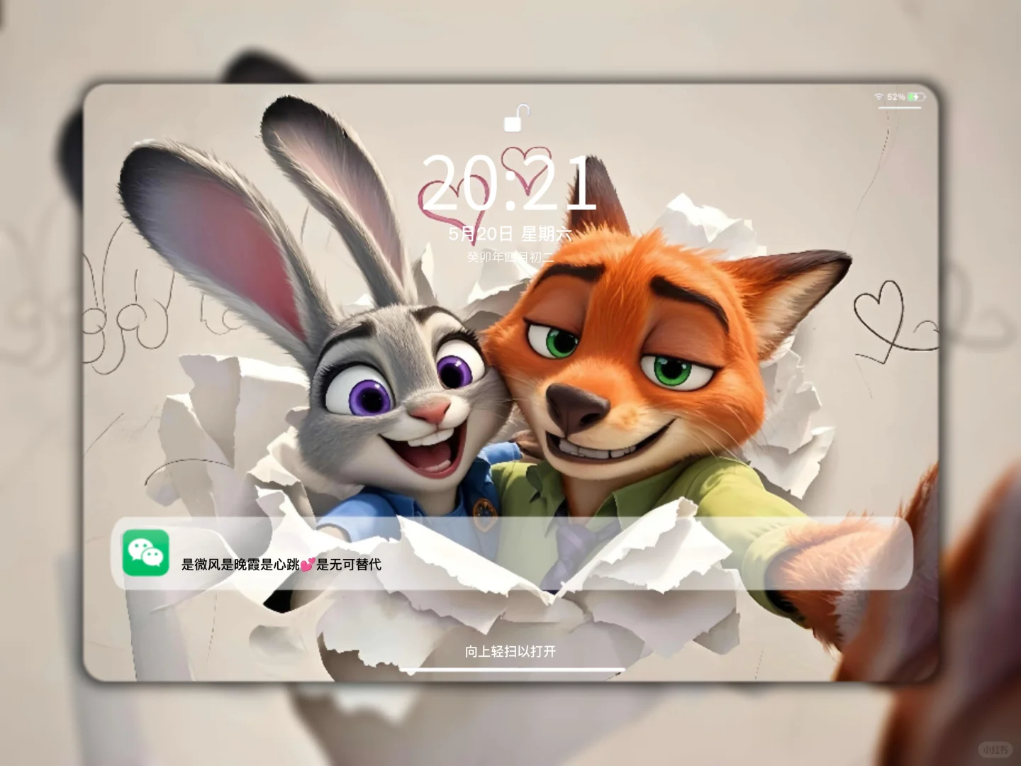 iPad壁纸分享🐰 🦊