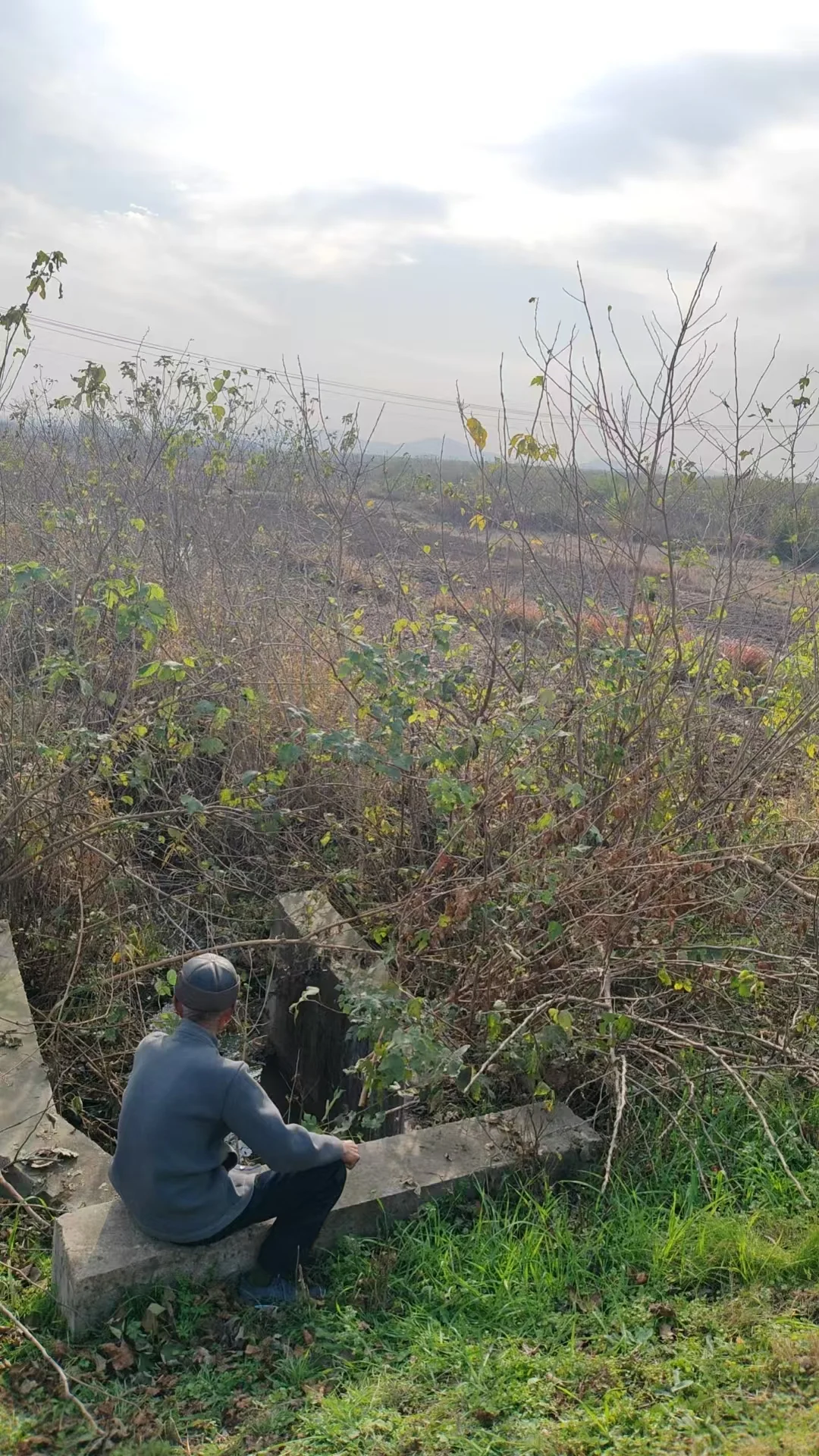 农村父母的养老生活