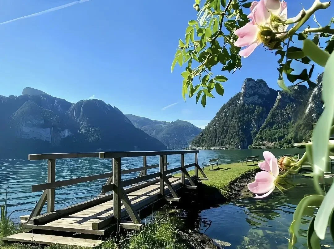 𝗦𝗵𝗮𝗿𝗲丨横屏壁纸