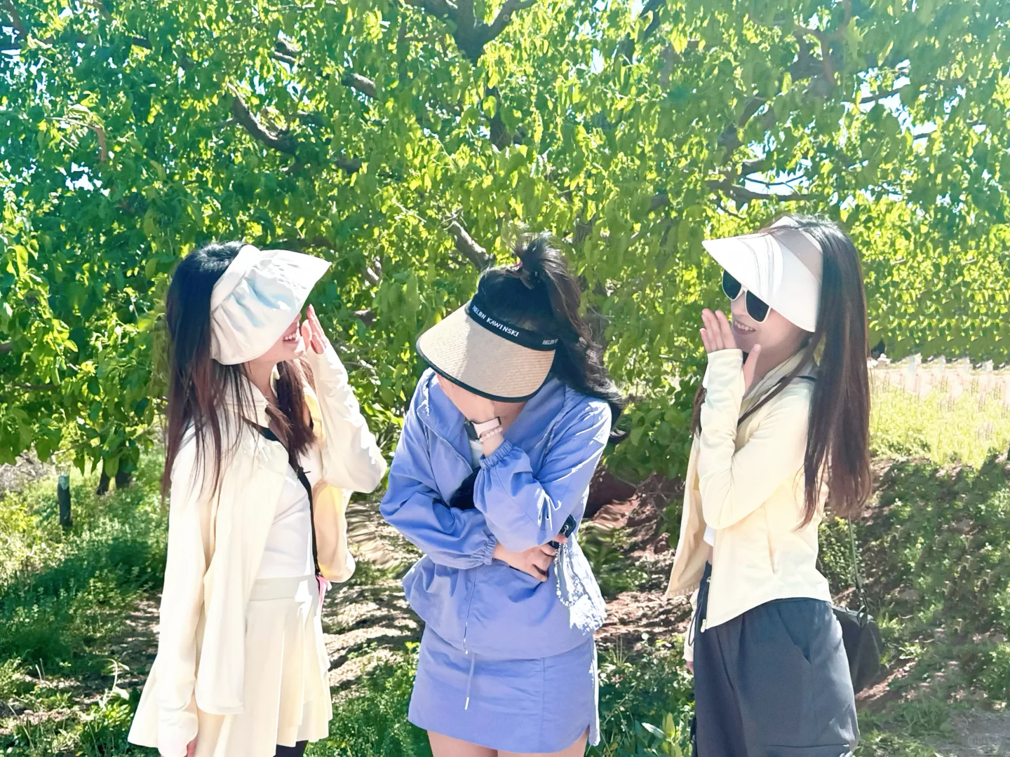 ⛰️山野漫步·自在如风 🌬️