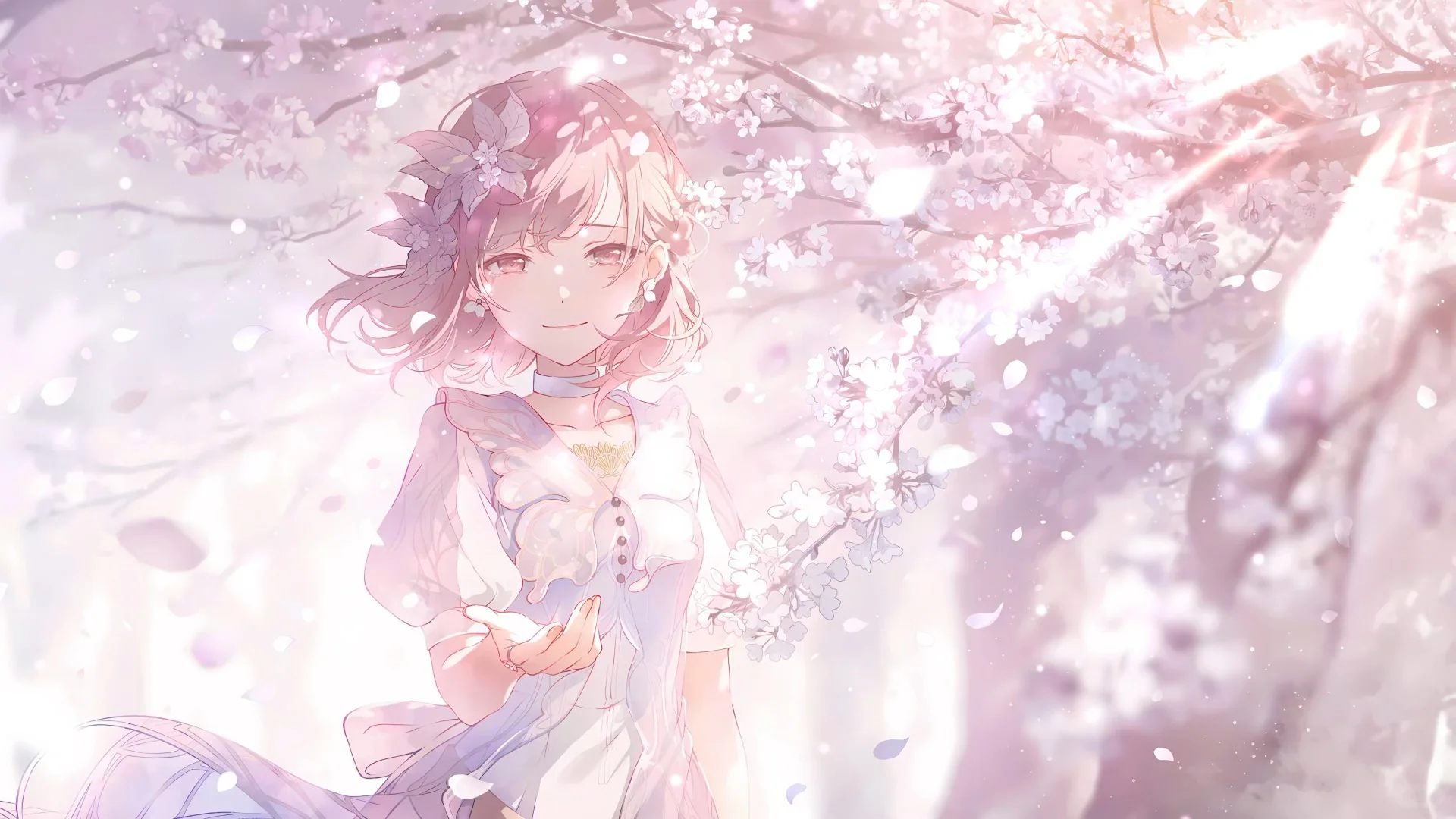 动态壁纸分享第222期