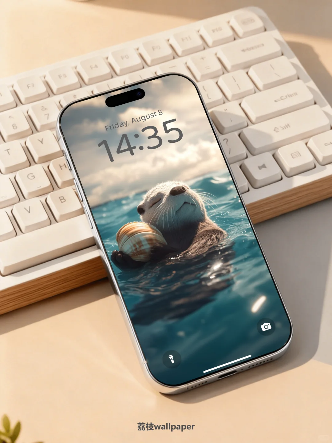 041｜简约高清壁纸｜贝壳海獭