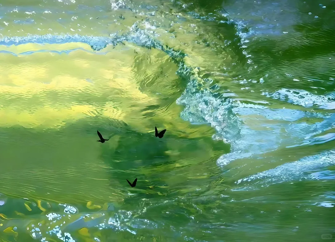 当光从窗外涌进，瞬间被治愈！