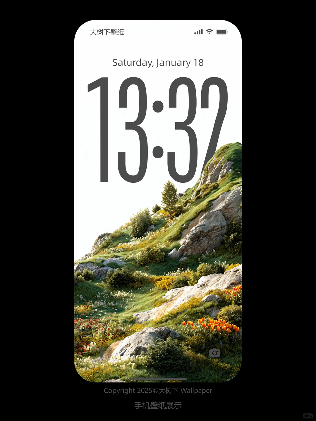 贫瘠山谷肆意绽放的花 | 护眼高清手机壁纸