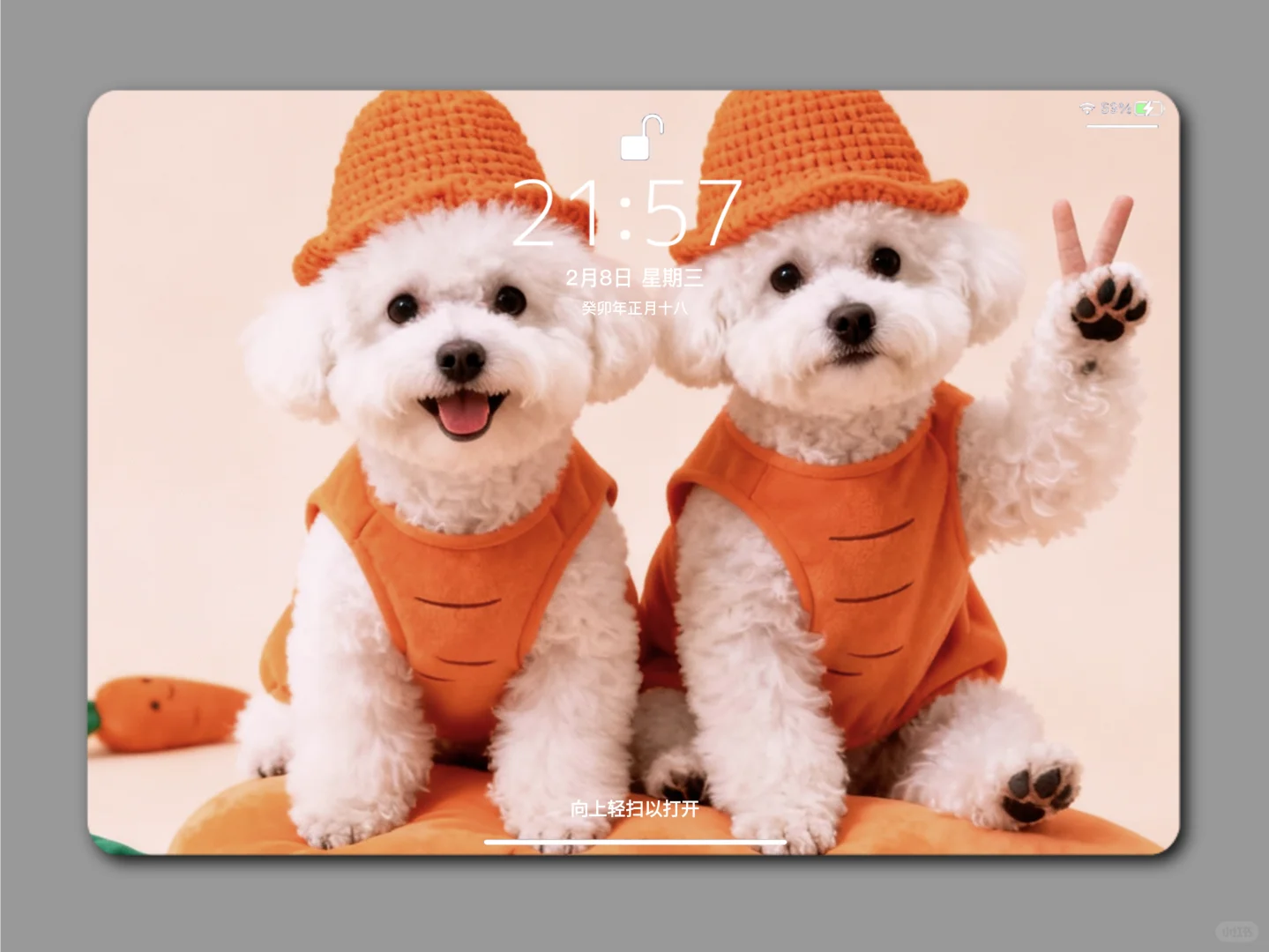 平板壁纸 | 每天的好心情就是打开一副美图