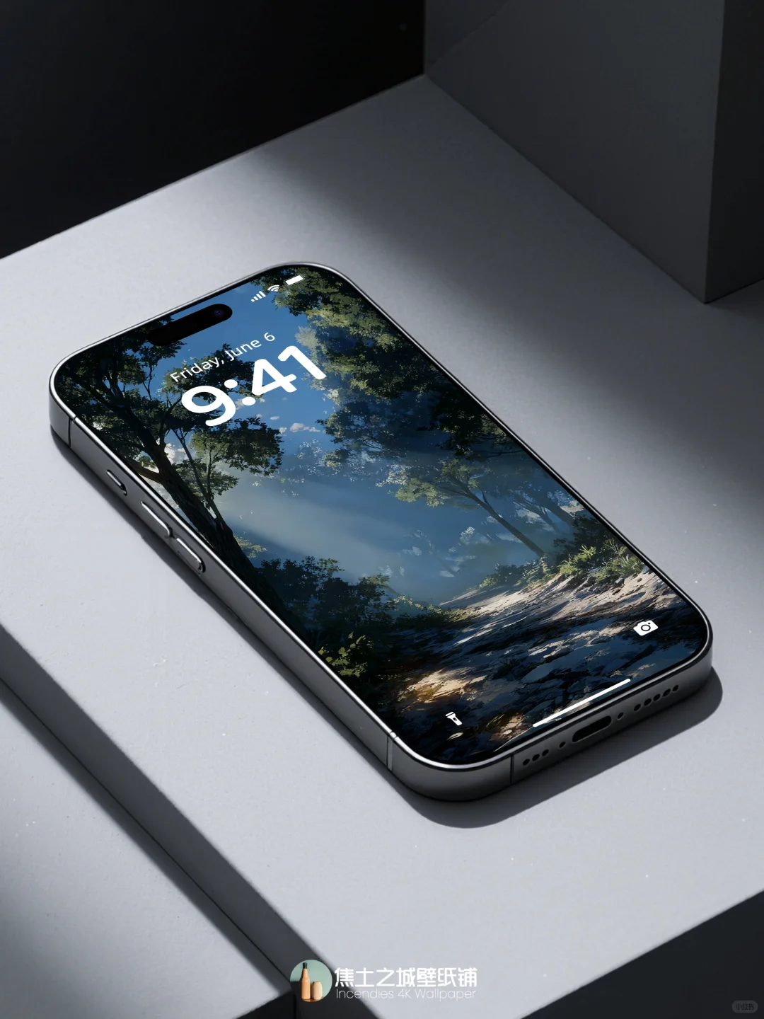 壁纸 | 阳光洒满静谧的森林