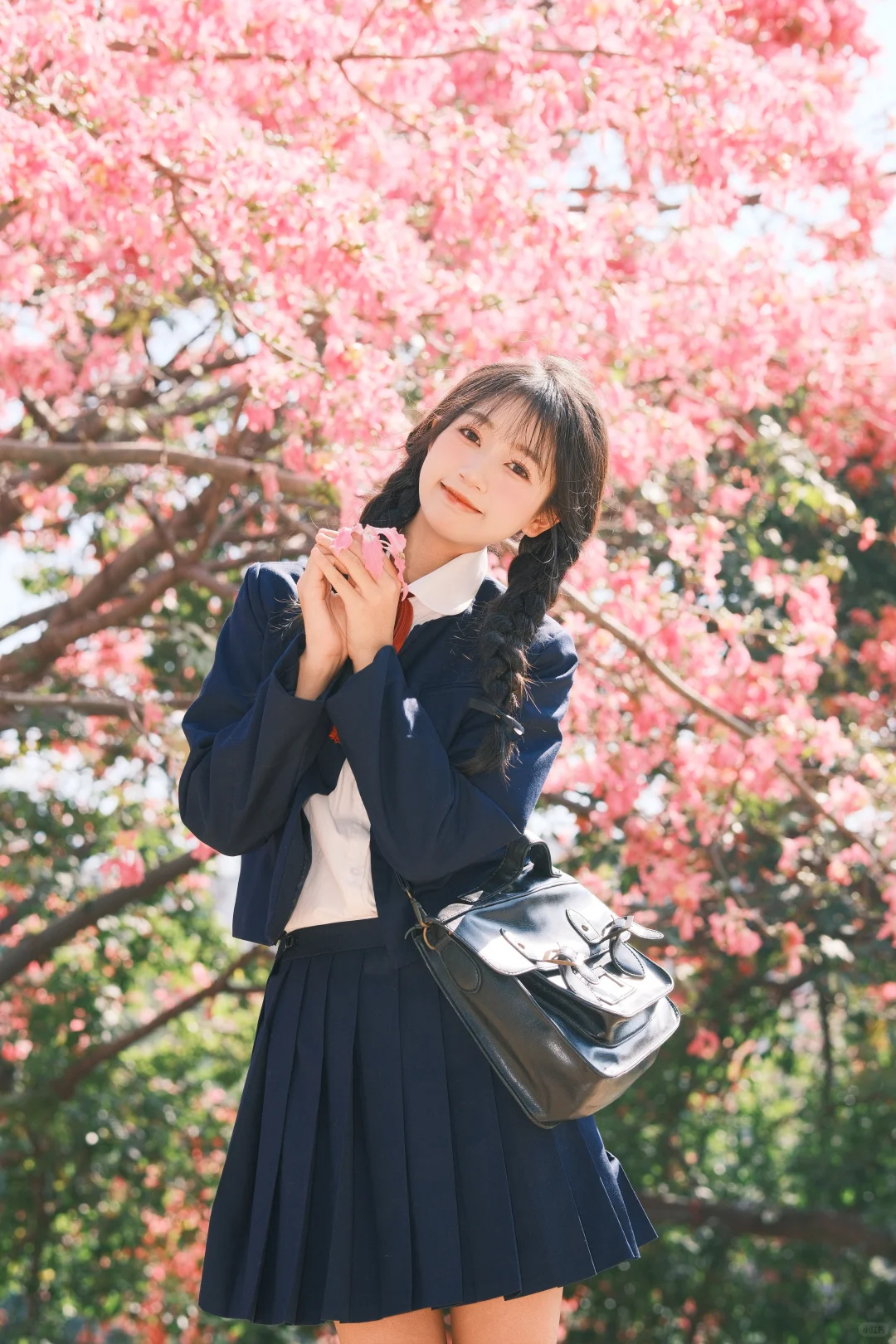 深圳观澜异木棉花海🌸jk制服少女写真