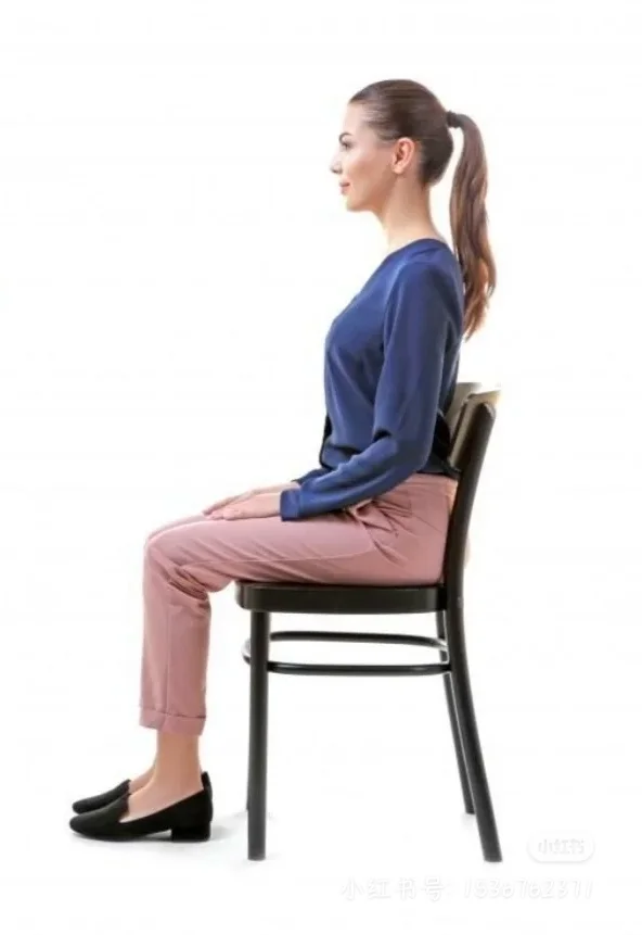 四肢短小，腰身细长