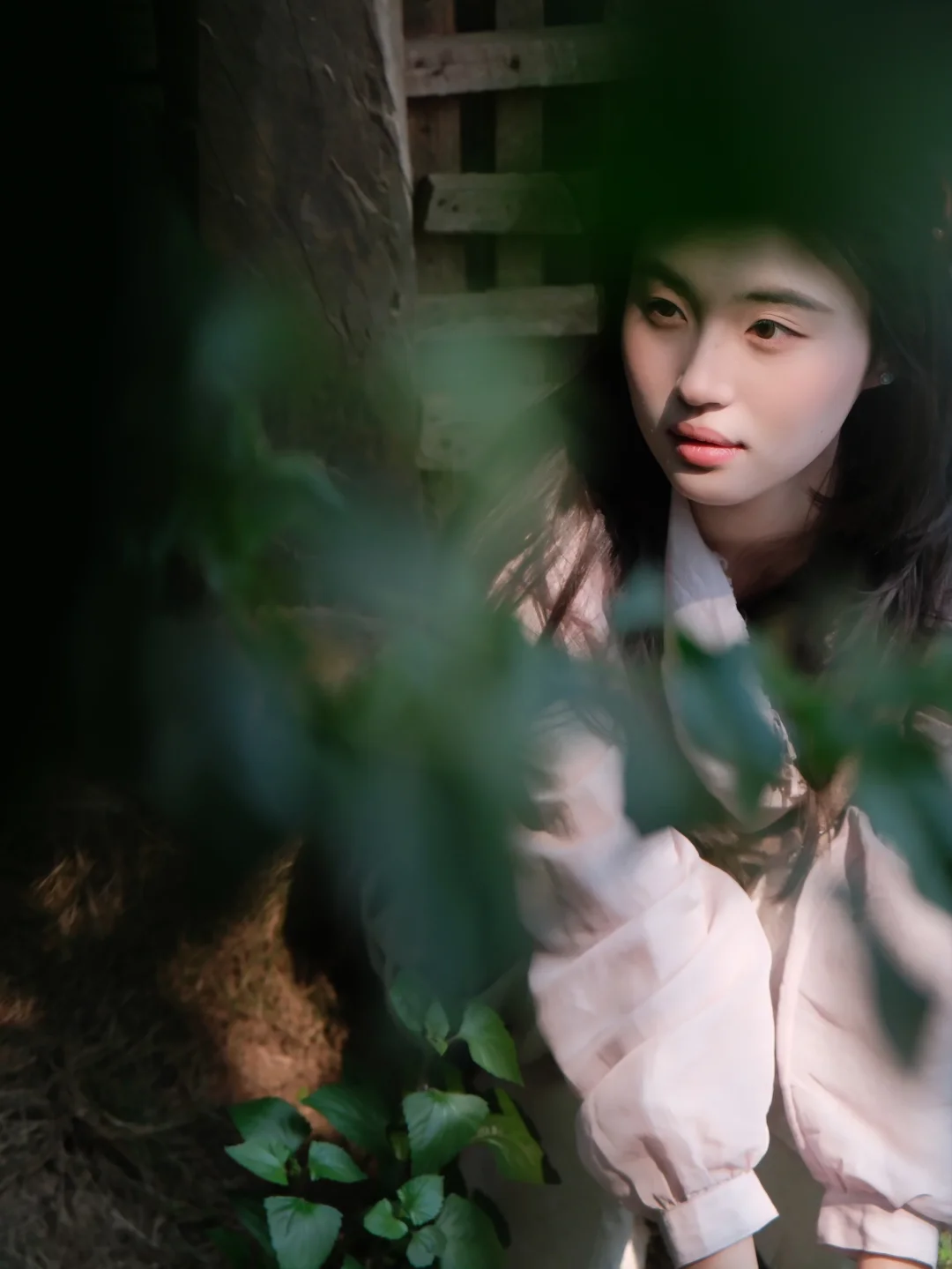 景迈山｜💗越来越多的人喜欢自然生动的照片