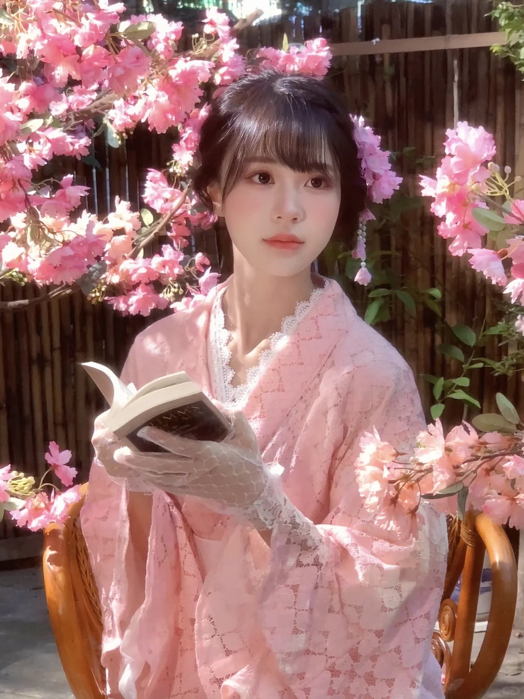 不用去大理！成都也能拍樱花🌸写真