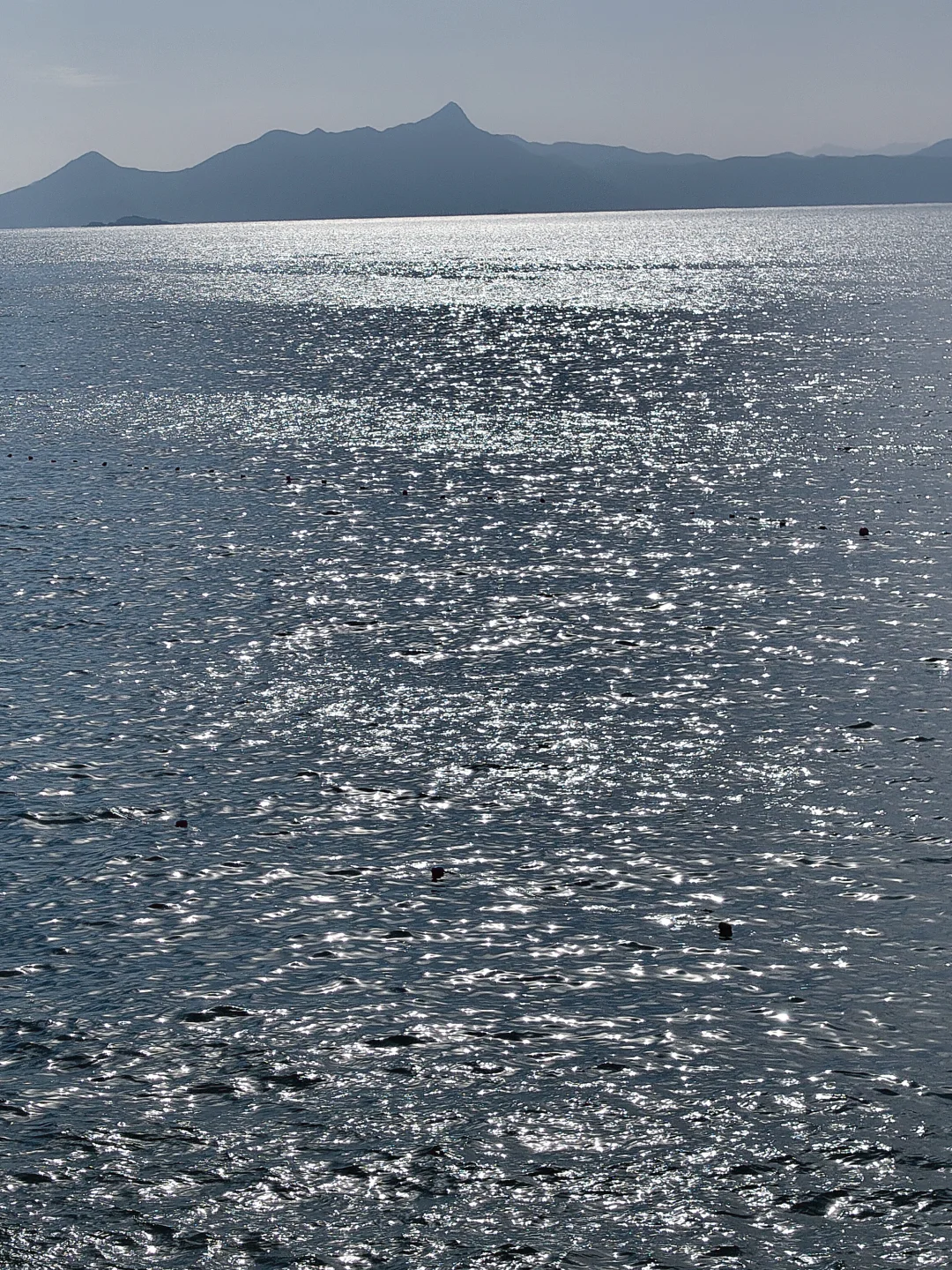 广东的冬天真的很适合去海边！
