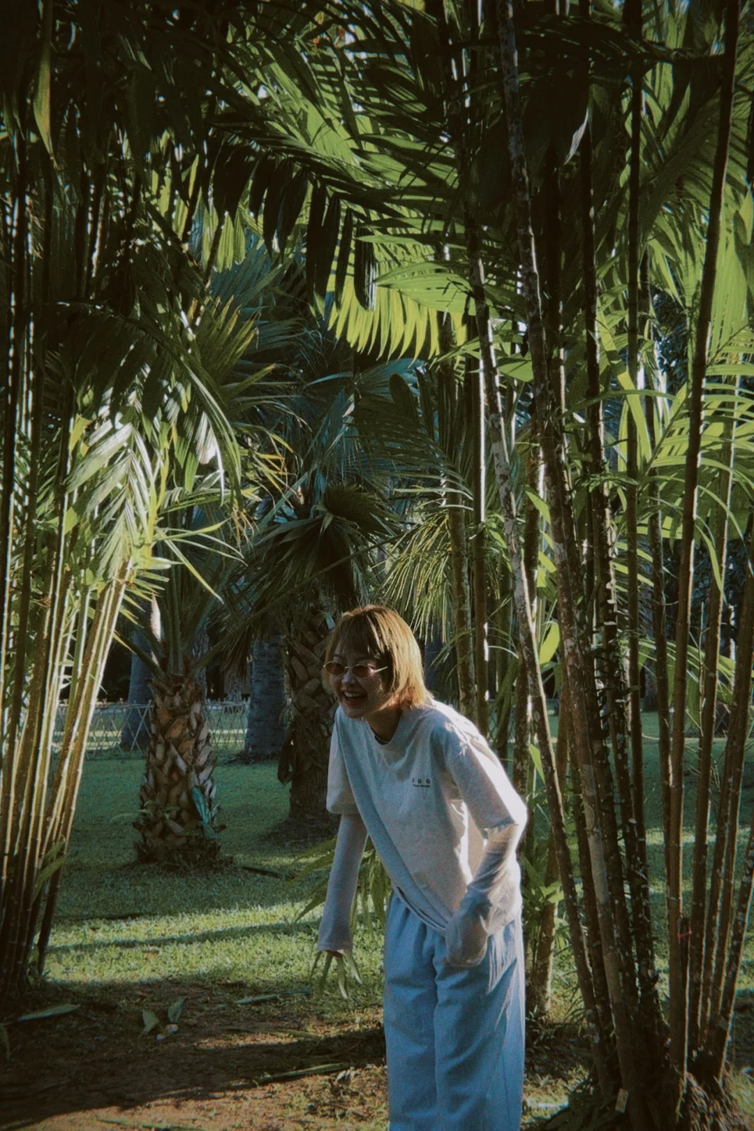 西双版纳这几天~这很infj