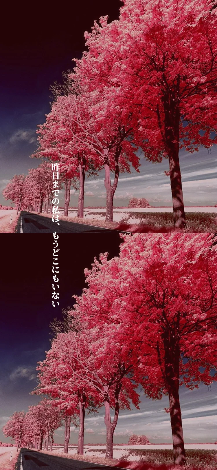 日语壁纸美文17