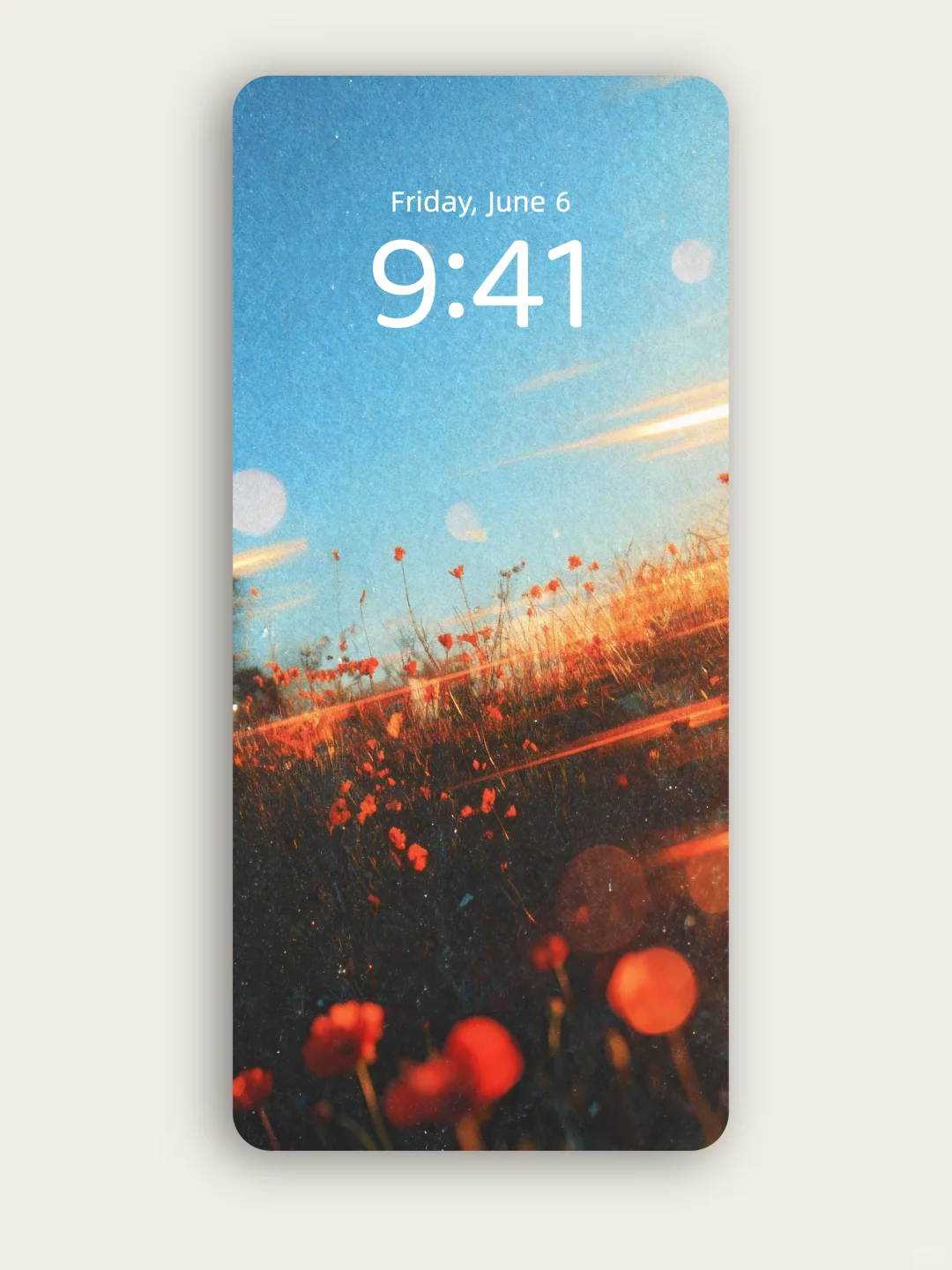 壁纸 | 在余晖的滤镜里绽放