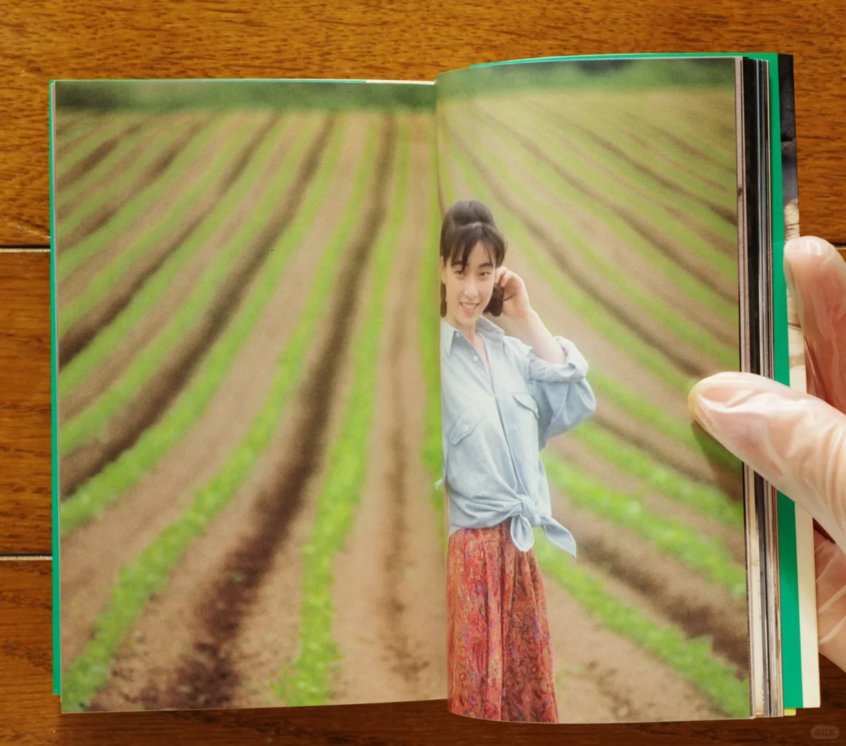 这就是昭和时期的美吗