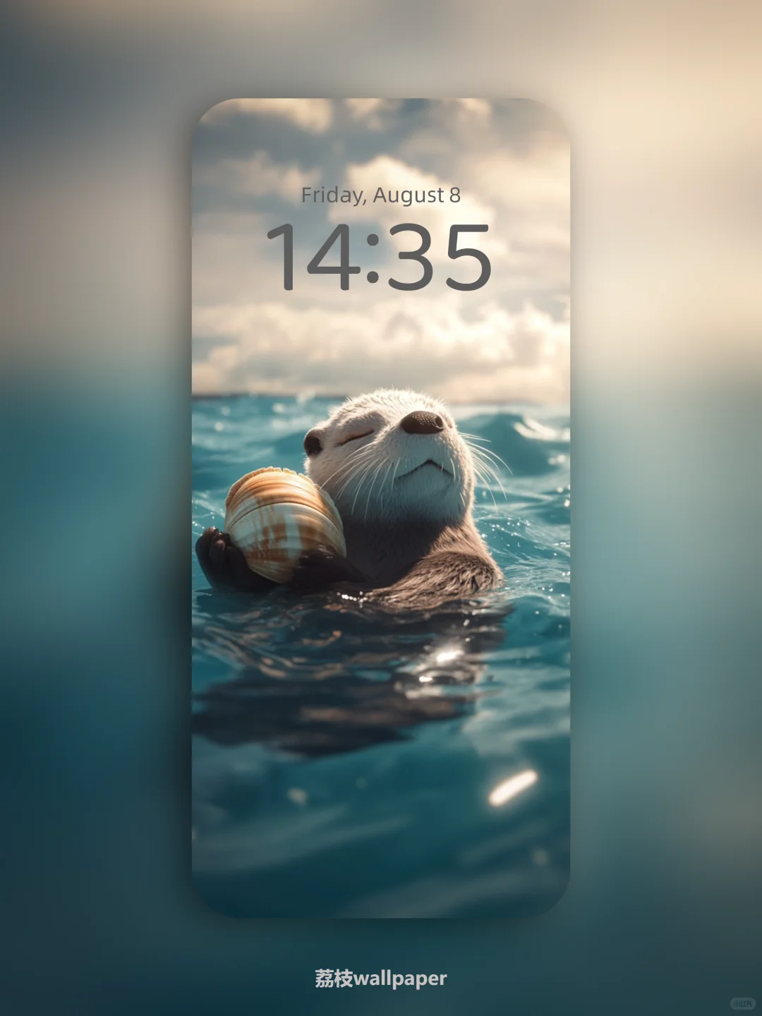 041｜简约高清壁纸｜贝壳海獭