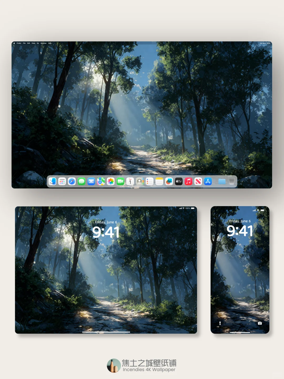 壁纸 | 阳光洒满静谧的森林