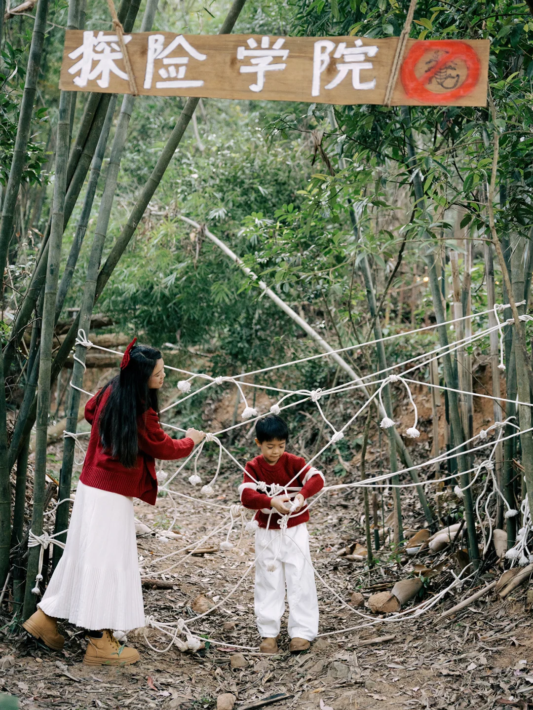 在东莞！这个森林营地氛围感拉满🎄