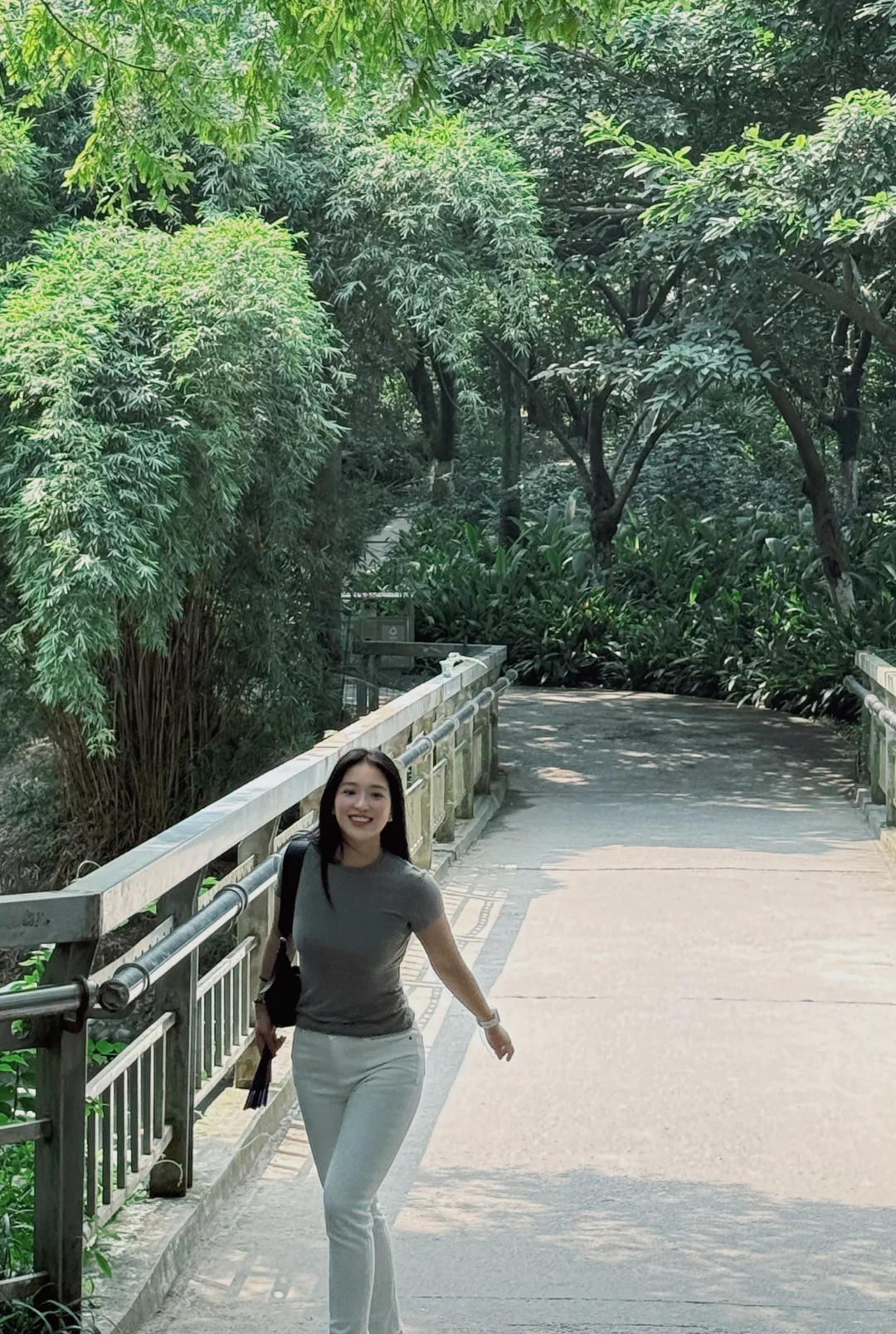 路过一片水杉林