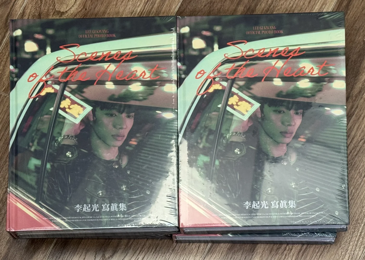 出李起光写真集