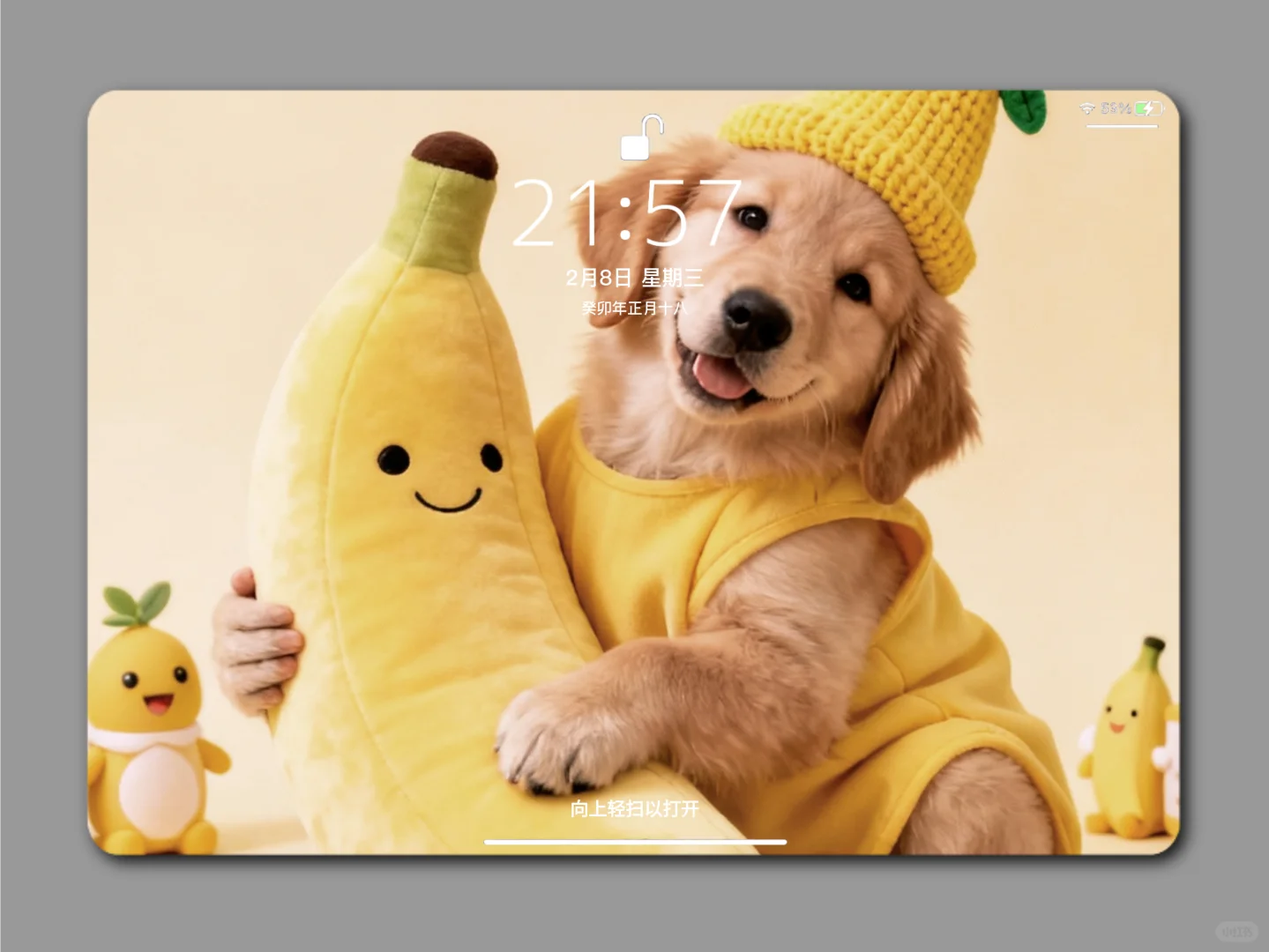 平板壁纸 | 每天的好心情就是打开一副美图