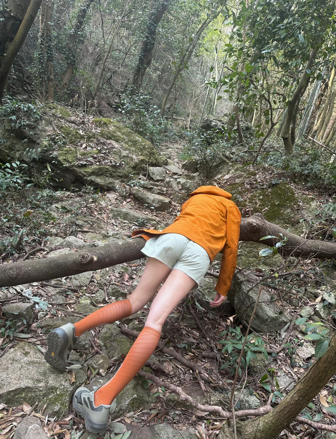 徒步女孩的野生美｜和我爬山就是摆烂