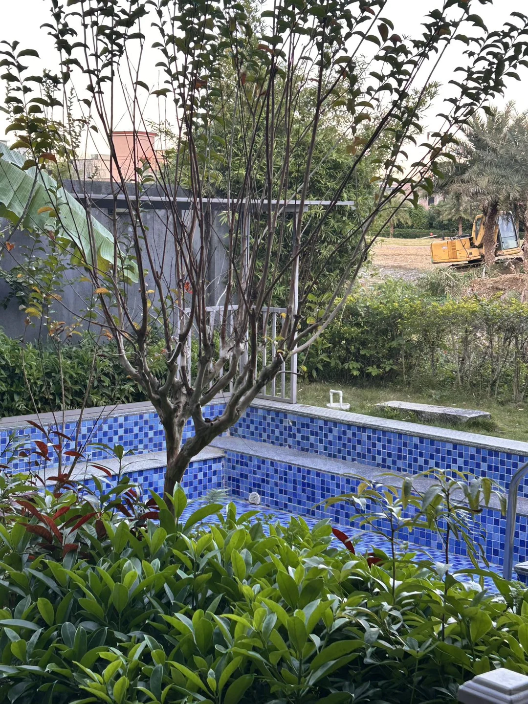 清远三坑！我在岭南温泉第一镇过暖冬♨️