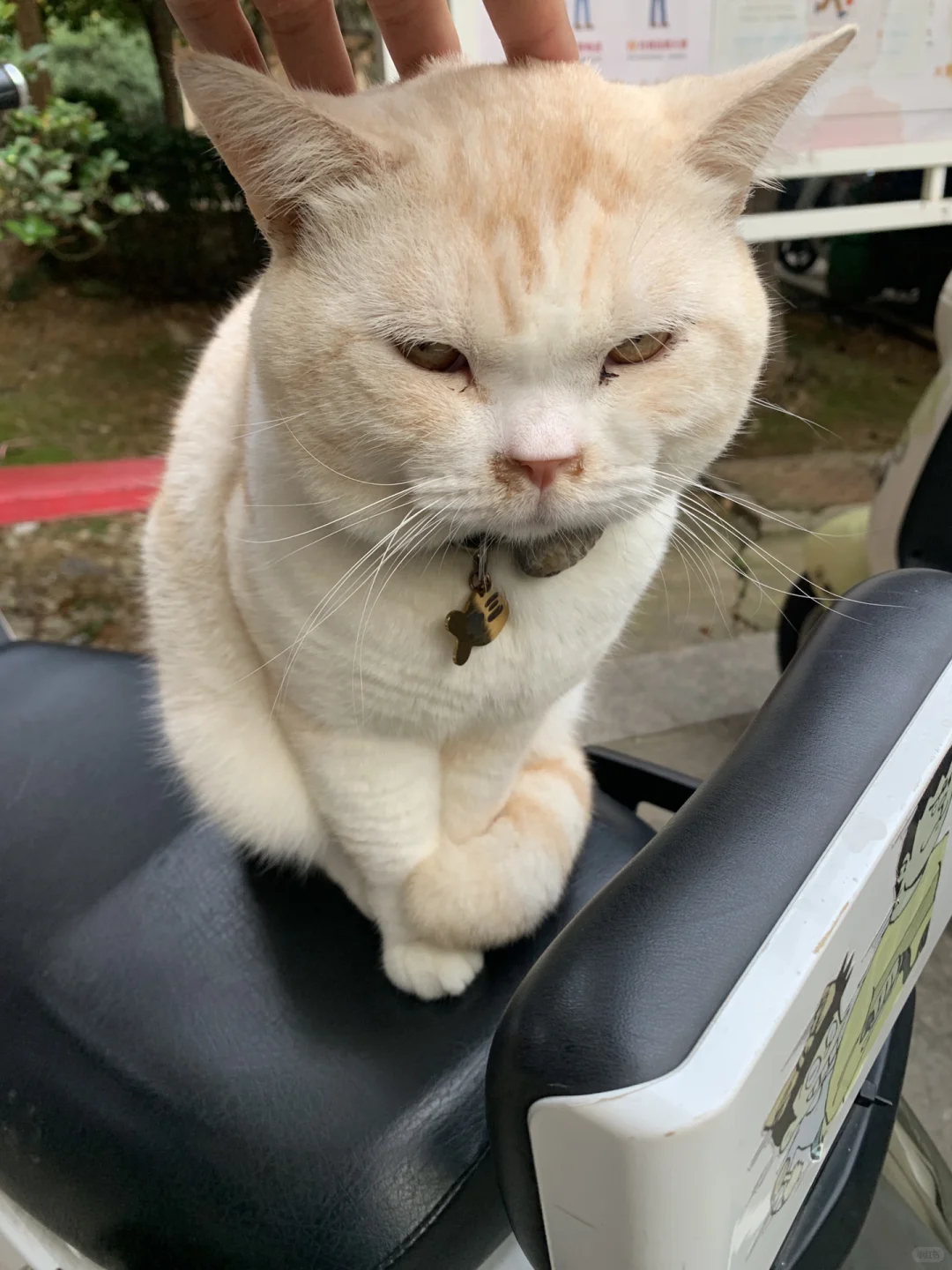 第一次约见少妇难免紧张