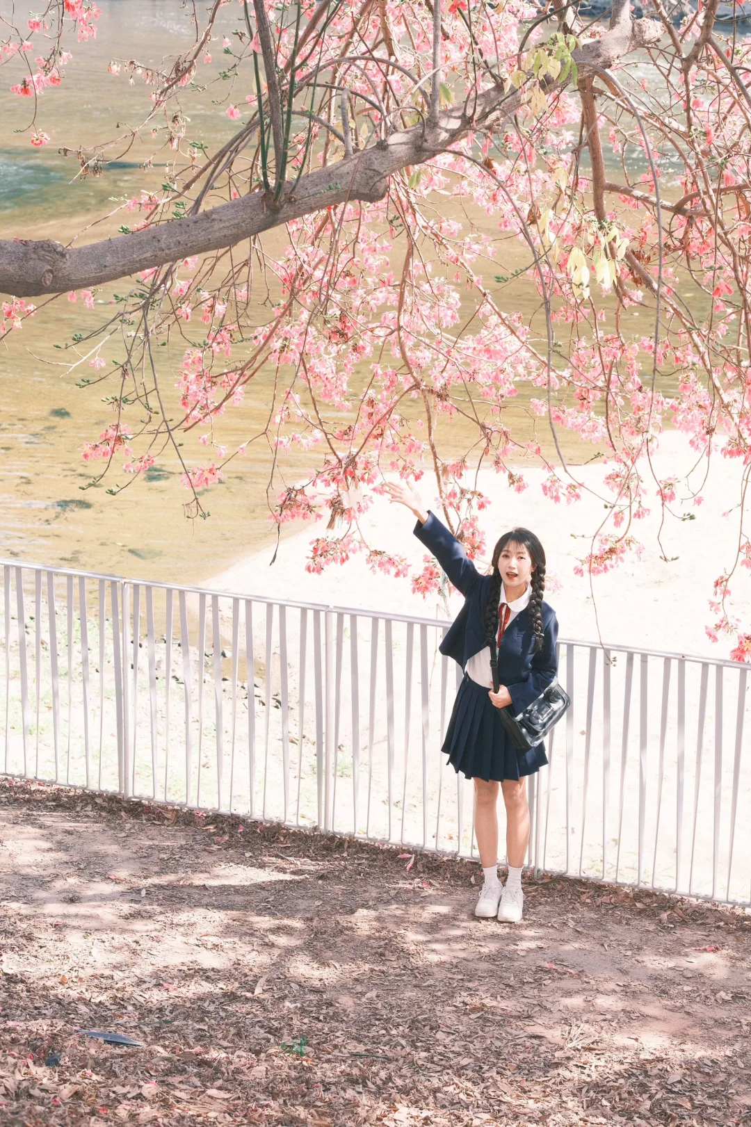 深圳观澜异木棉花海🌸jk制服少女写真