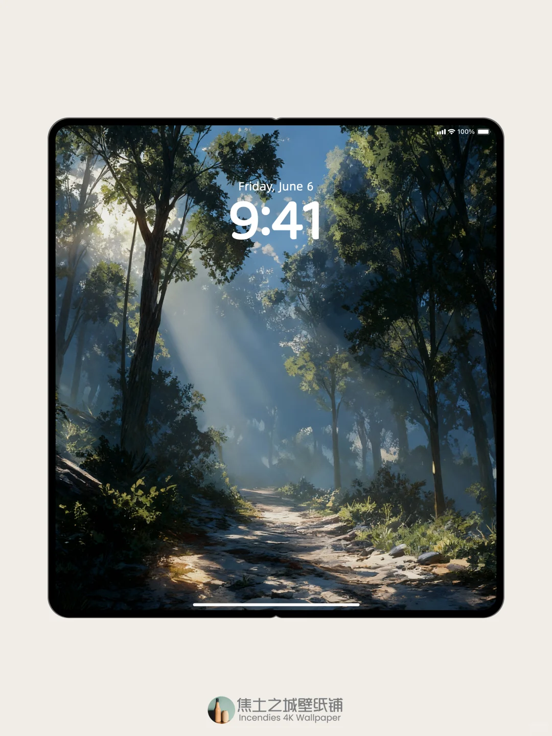 壁纸 | 阳光洒满静谧的森林