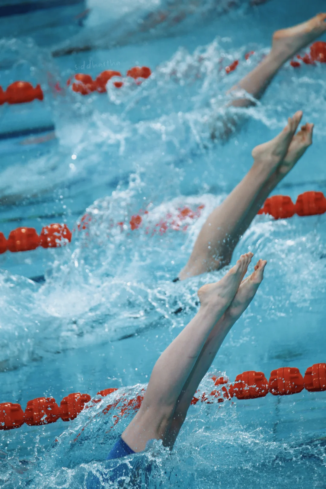 2025全运泳女💕群像