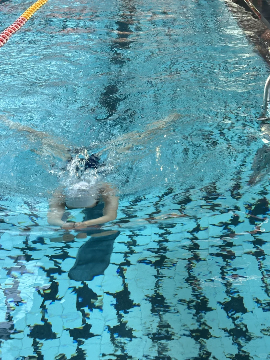 11.25｜冬天最适合的运动：游泳🏊‍♀️