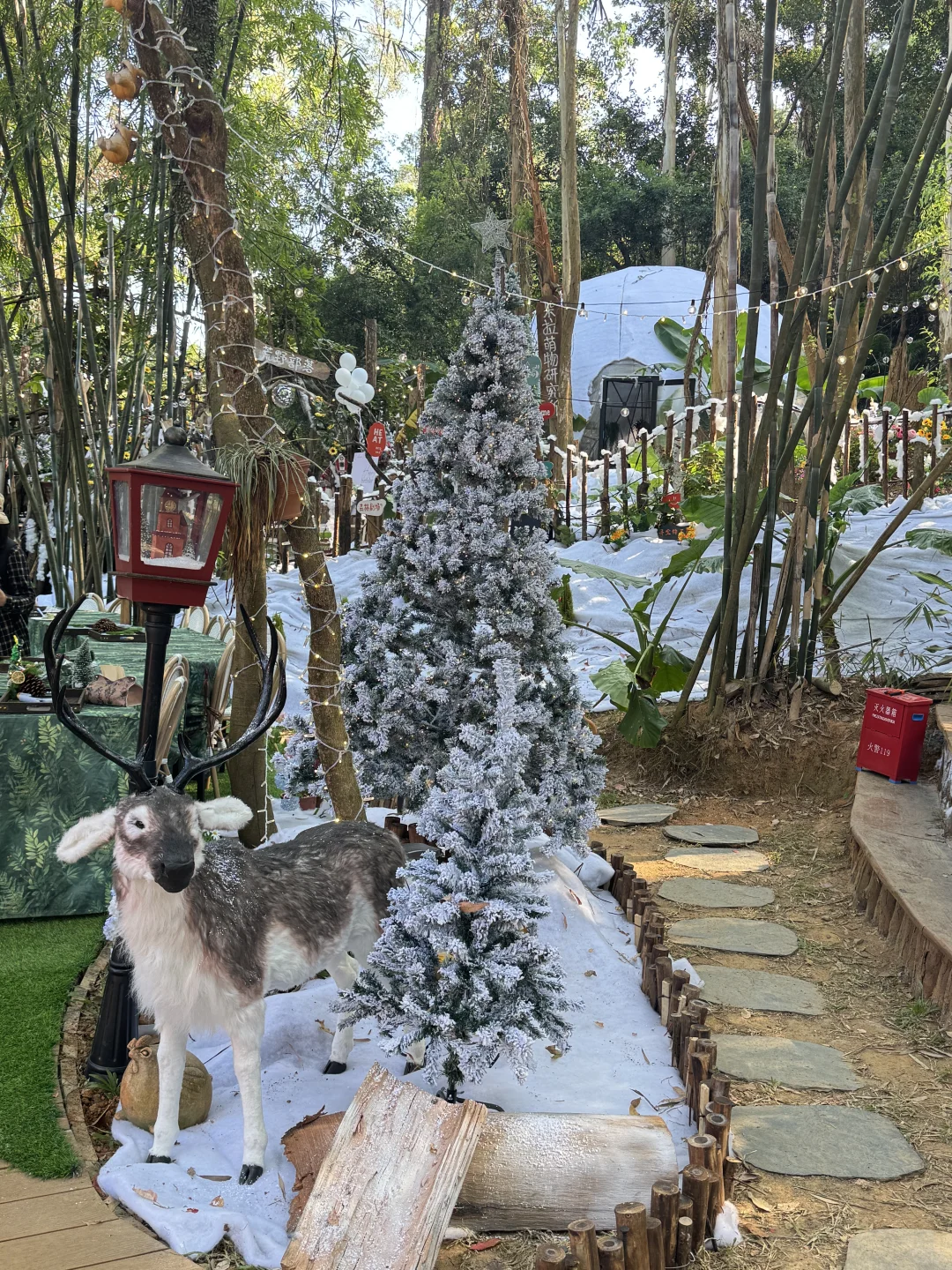 🎄圣诞氛围已拉满…