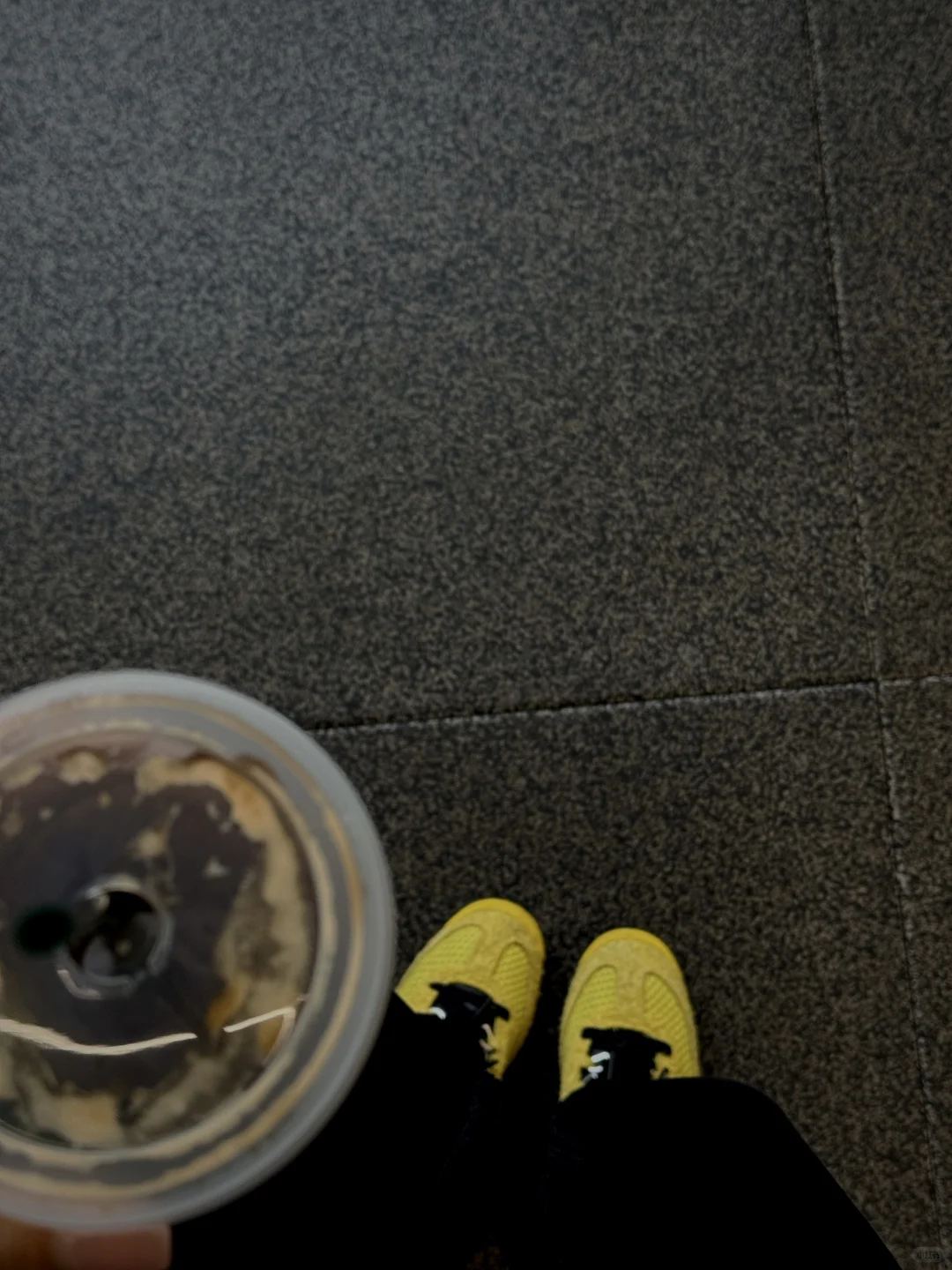 今天的自律就到这。