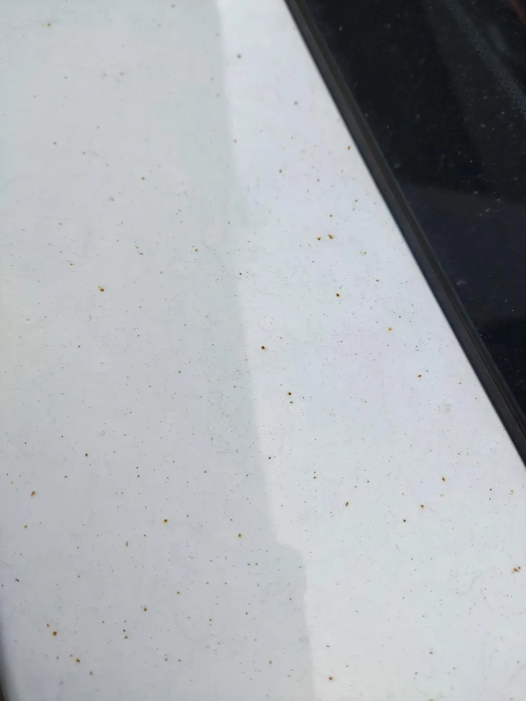 普及一下知识 欢迎咨询汽车美容抛光