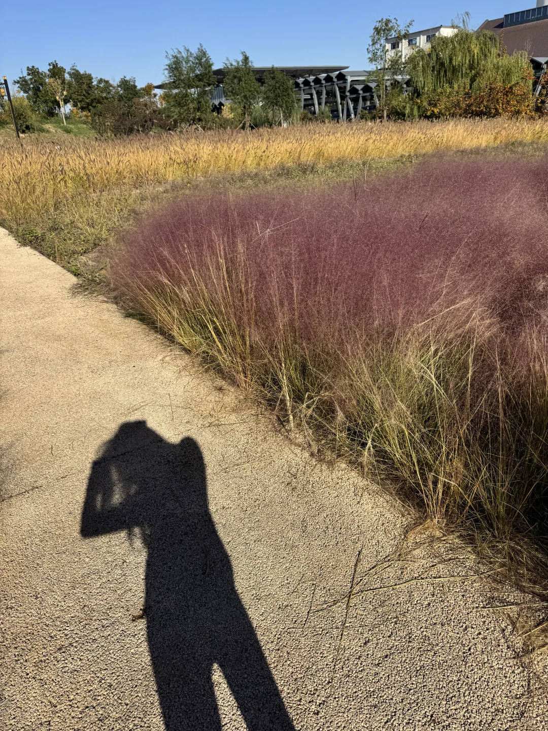 活的一些瞬间～