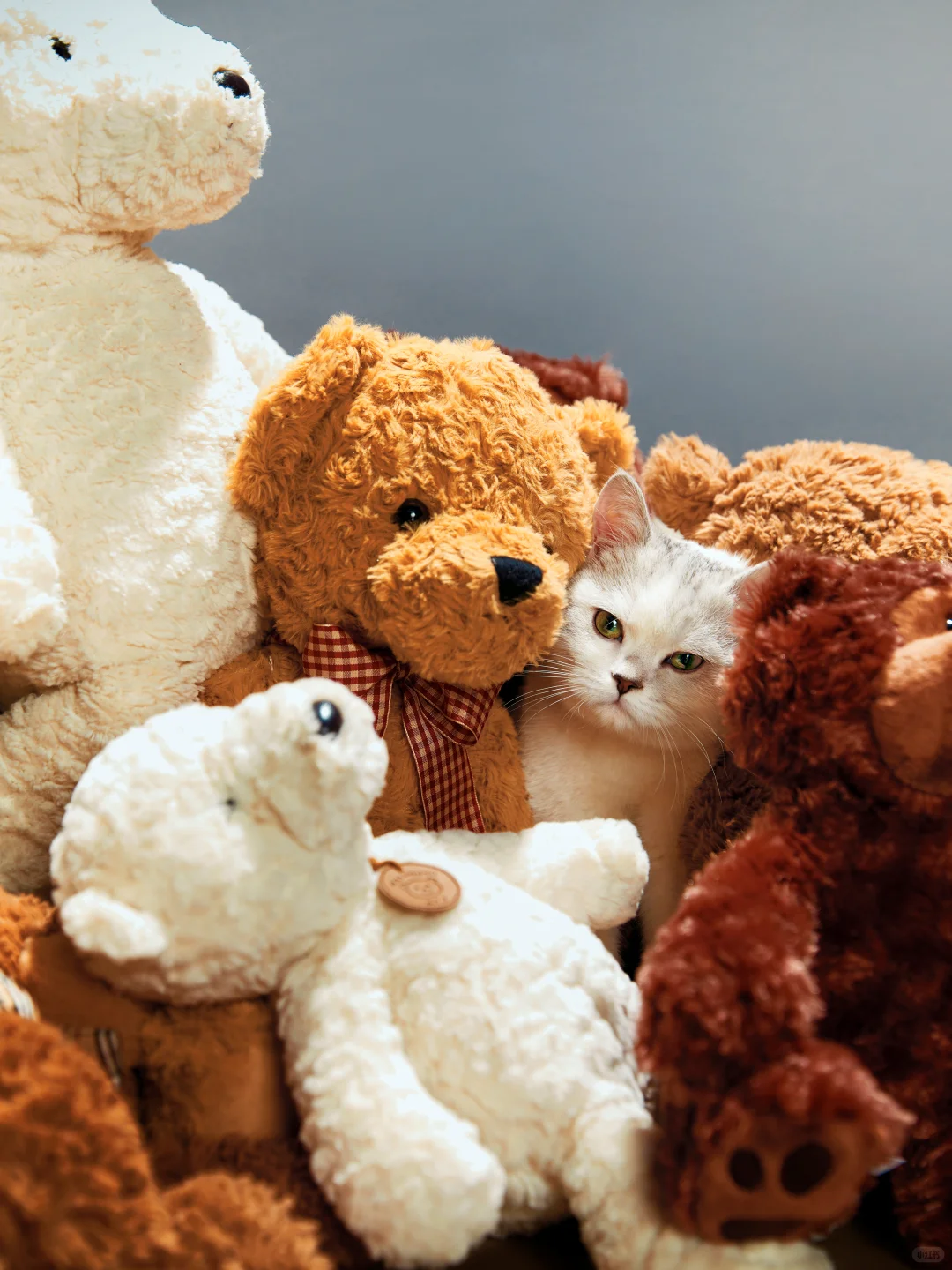 孕期也要做时髦精！ 和美拉德色系锁死