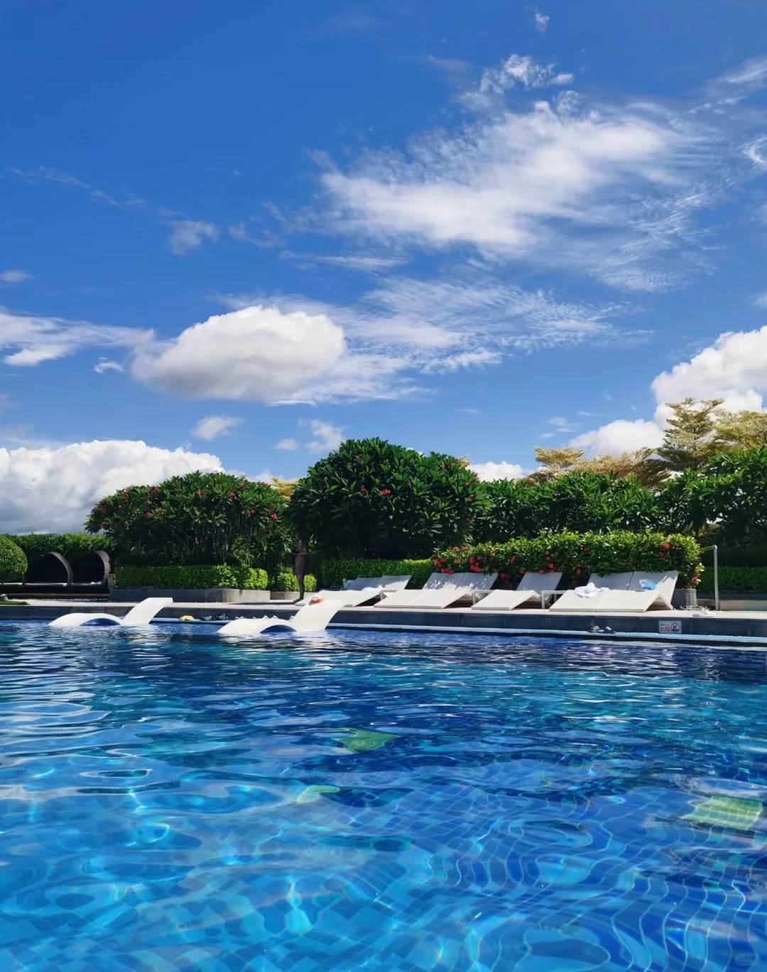 泡在水里的蓝色夏天🏝️