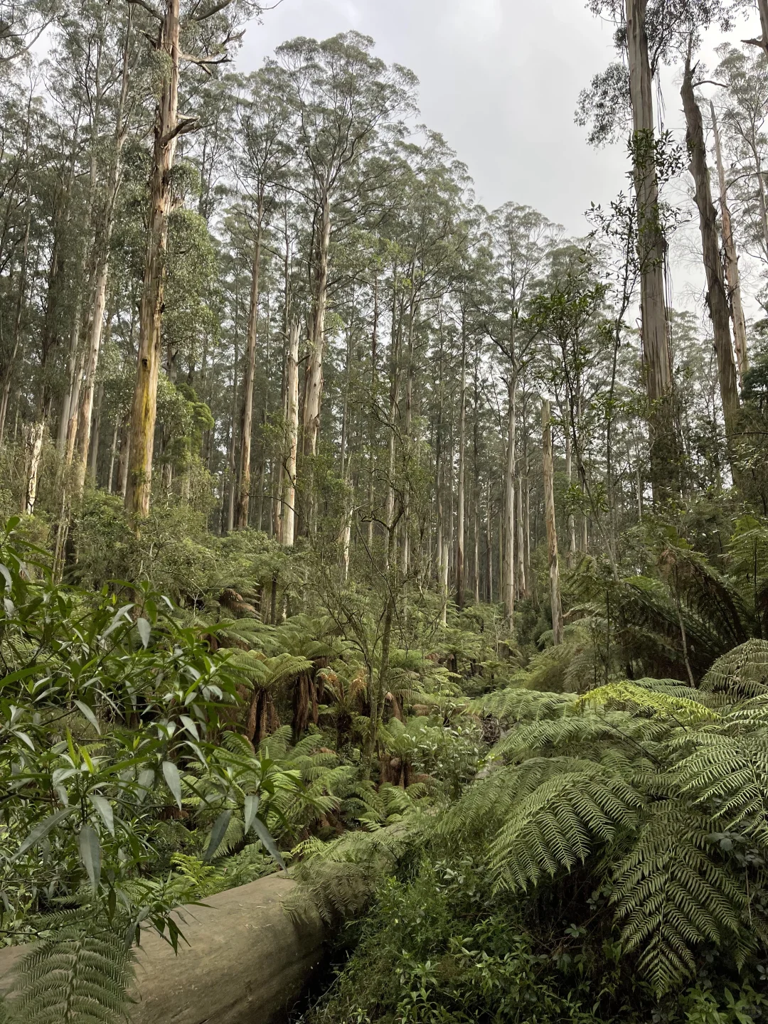 别吵了！还是穿秋裤去爬山比较舒服