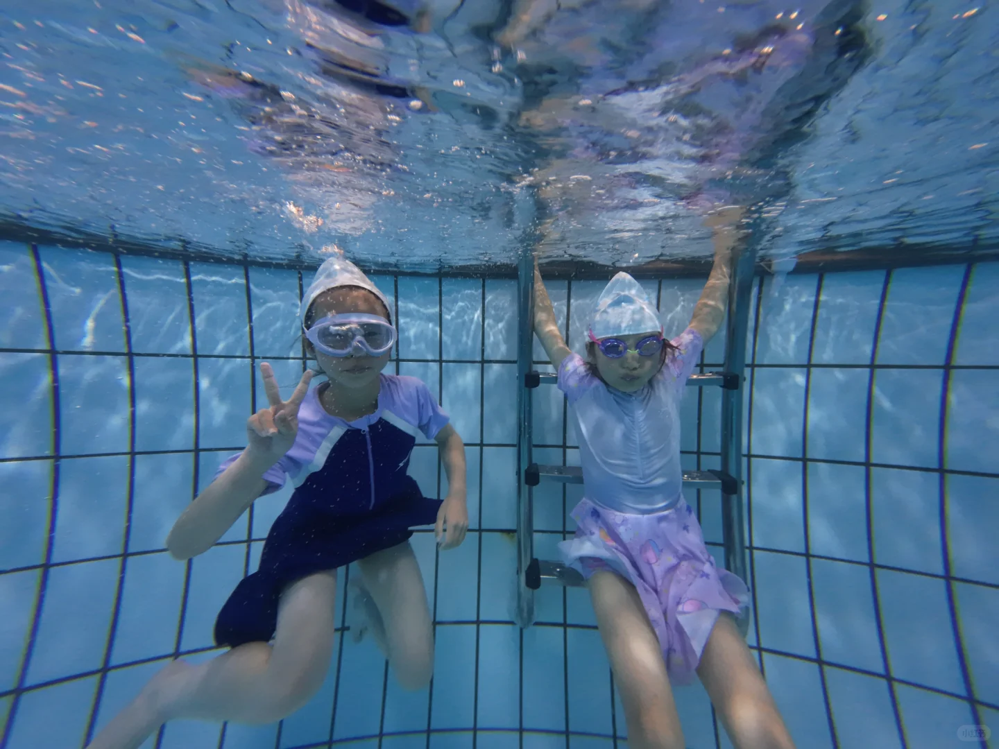 游泳的水下动态