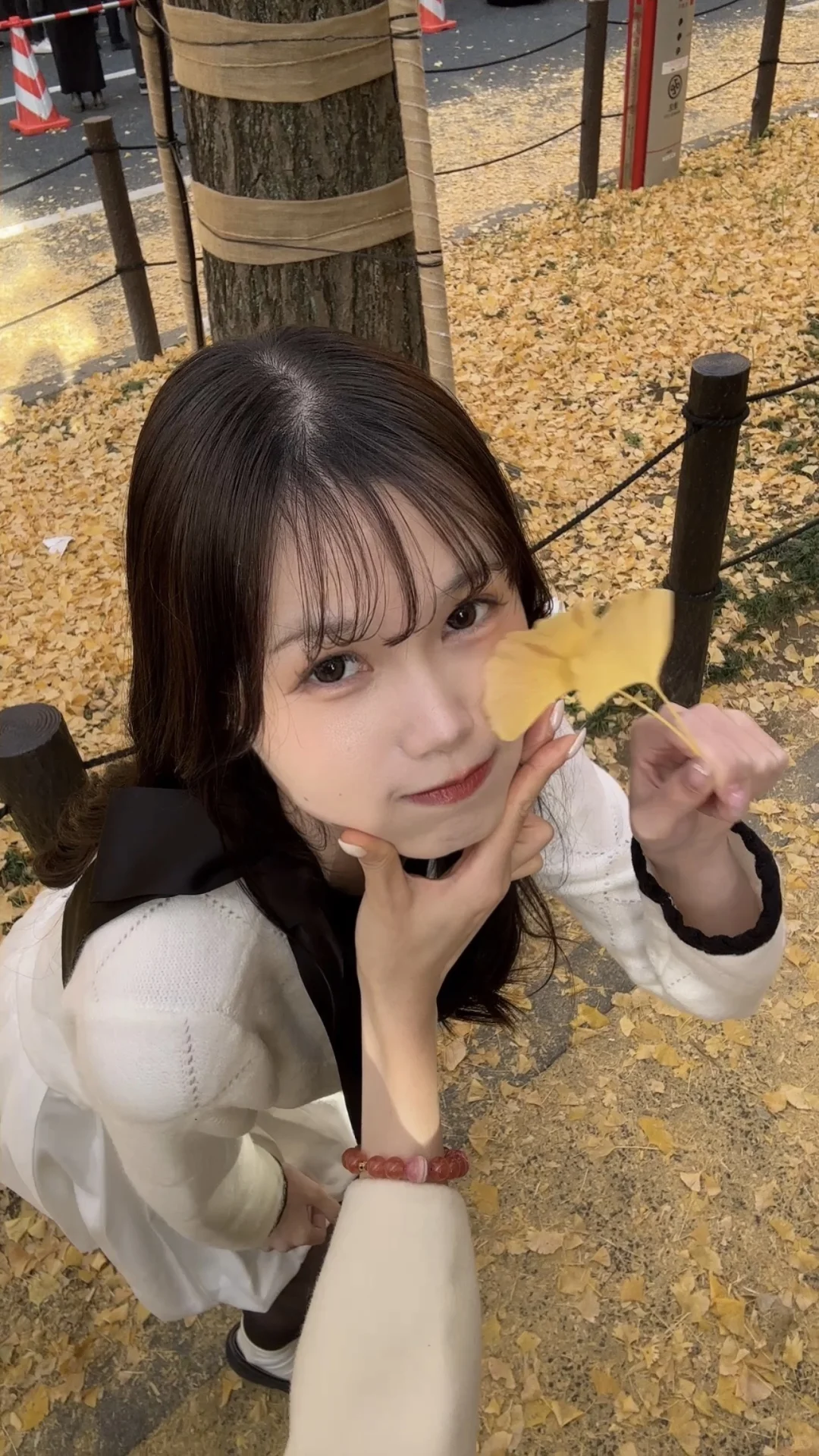 去抓住秋天的尾巴🍂