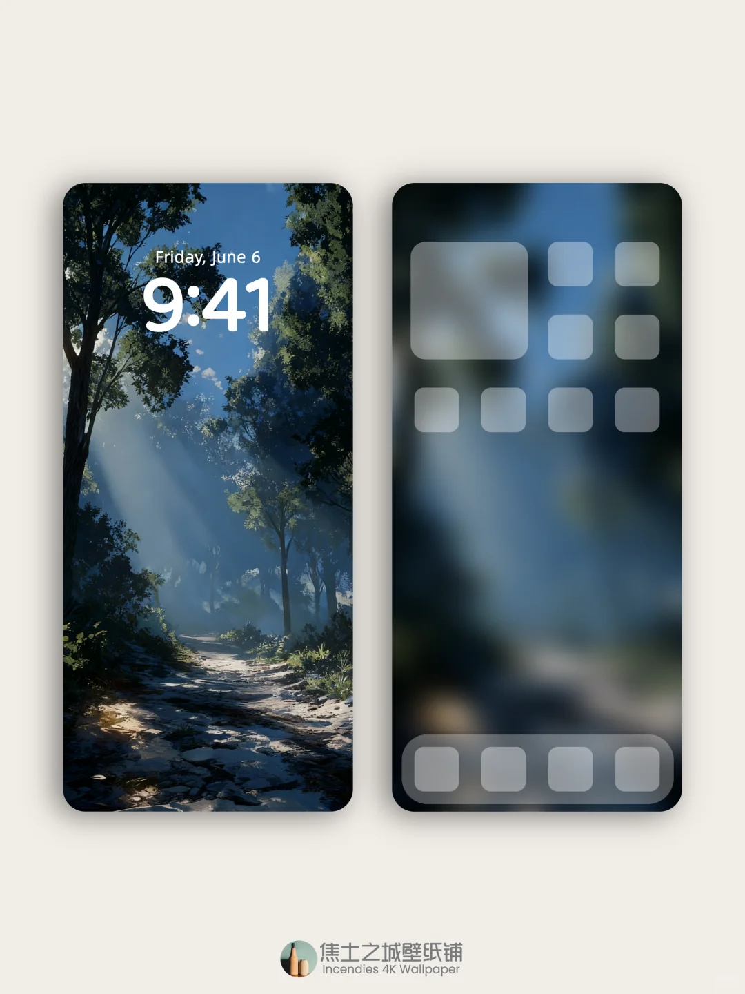 壁纸 | 阳光洒满静谧的森林