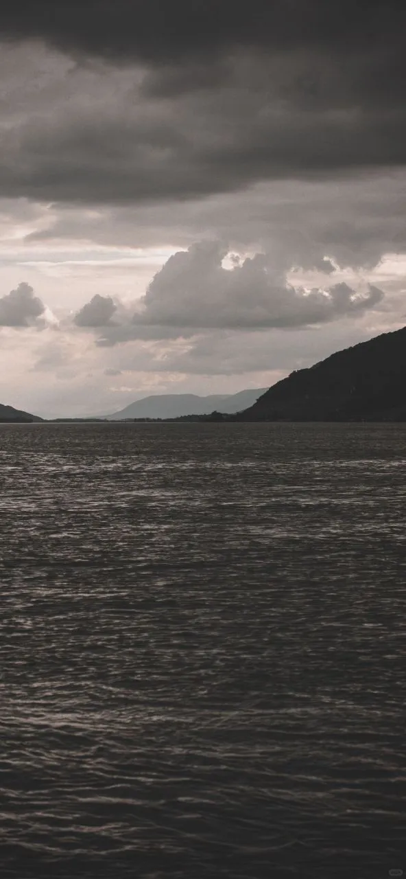 𝐒𝐡𝐚𝐫𝐞｜iPhone壁纸258期