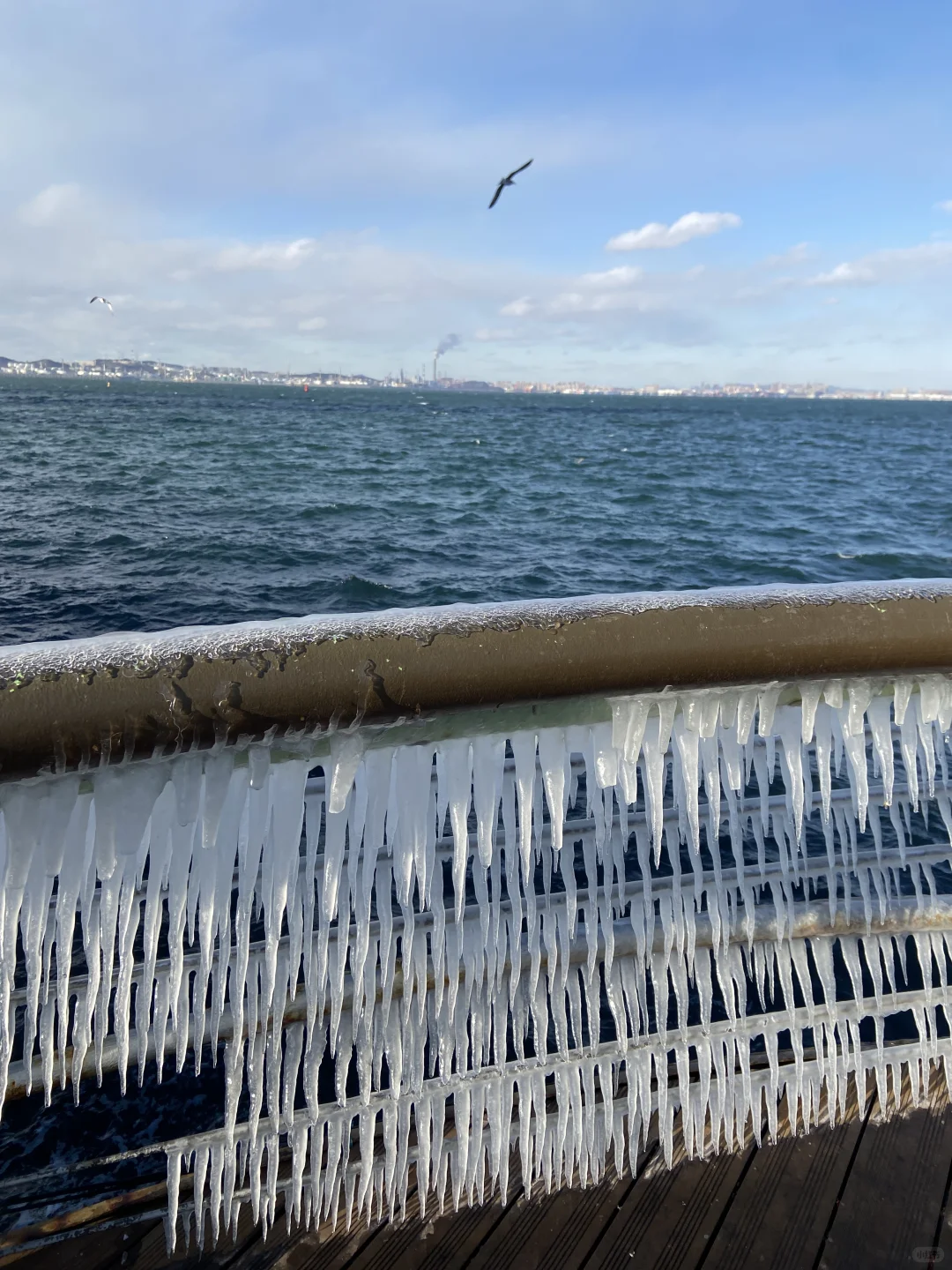 十二月初的大连海边这样穿